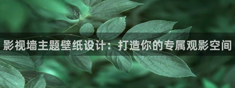 欧美影院.