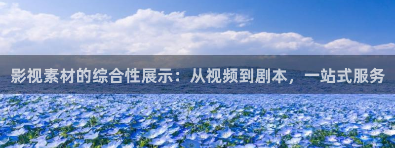 激情欧美影院：影视素材的综合性展示：从视频到剧本，一站式服务