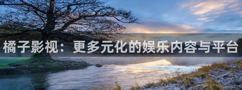 老司机欧美影院