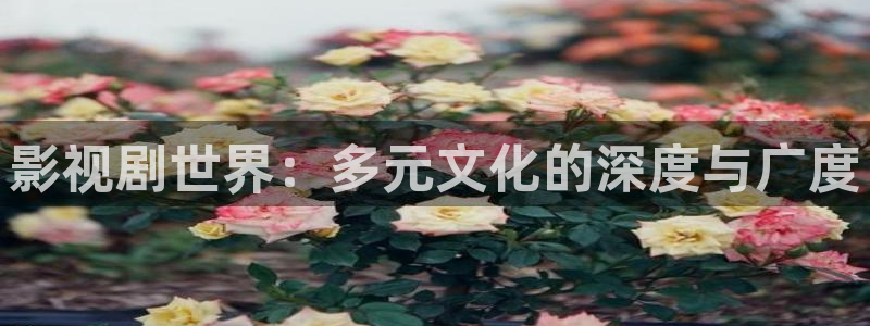 国语对白欧美影院：影视剧世界：多元文化的深度与广度