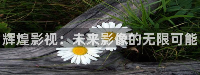 成人欧美影院
